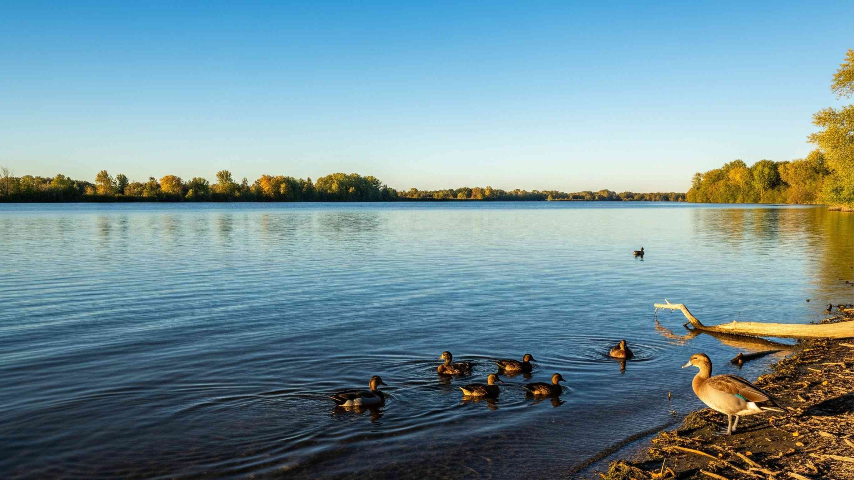 Pure water background