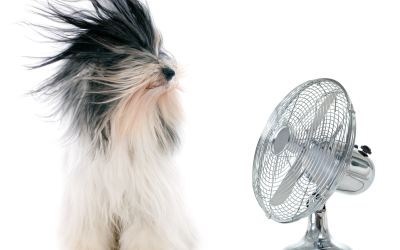 3 Reasons Why Winter Is the Time to Consider Replacing Your A/C